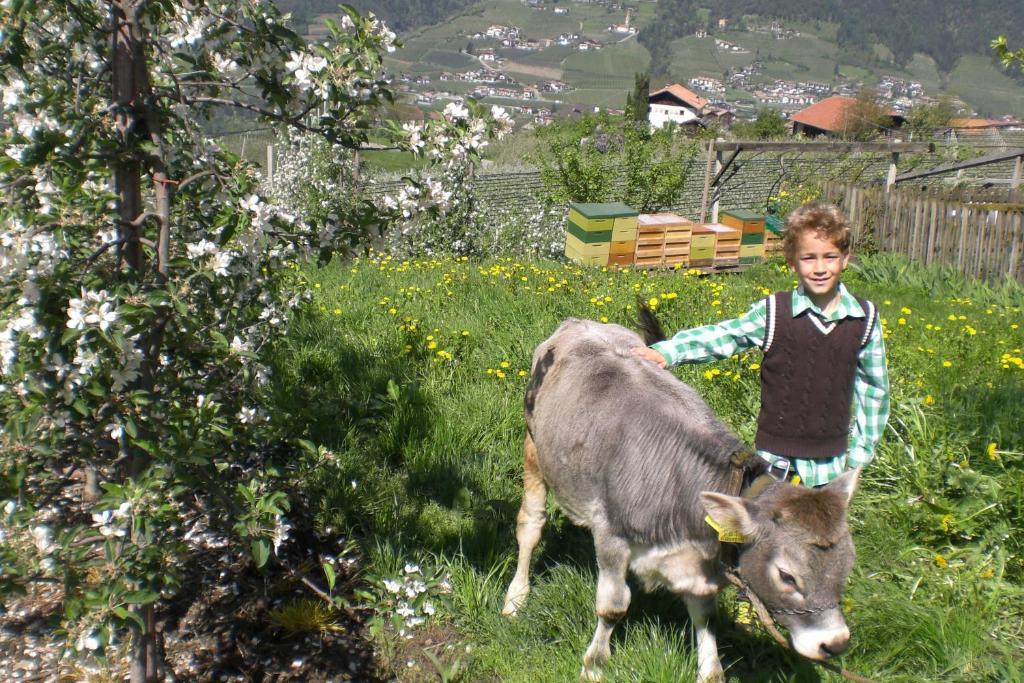 Vila Krebishof Agriturismo Schenna Exteriér fotografie